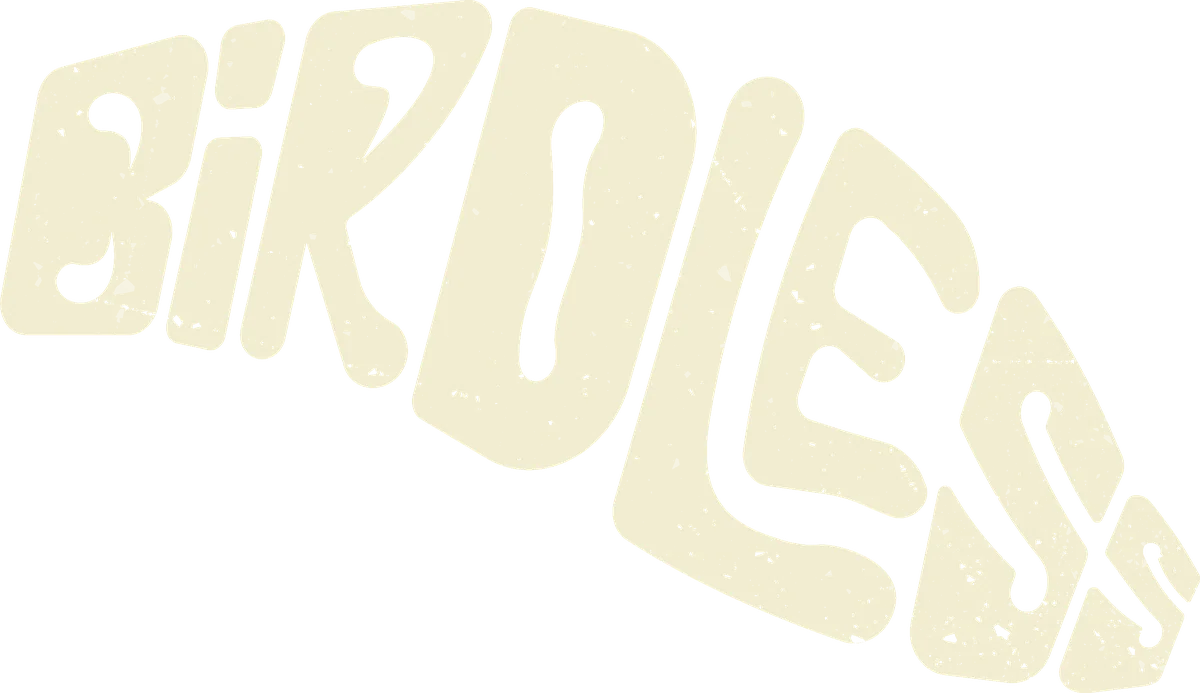 Birdless